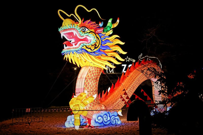 Dragon Lanterns