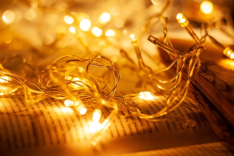 Fairy Lights Outdoors